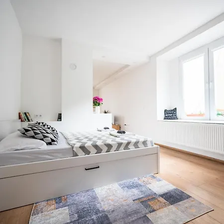 Modern In The Old Town Apartment Sarajevo